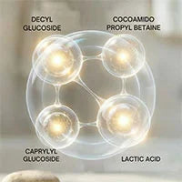 Decyl Glucoside, Cocoamido Propyl Betaine, Caprylyl Glucoside, Lactic Acid