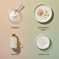  Pullulan, Lactic Acid, Sclerotium Gum, Lecithin