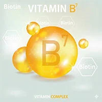 Biotin (Vitamin B7)