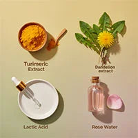 Turmeric Extract, Dandelion Extract, Rose Water, Lactic Acid
